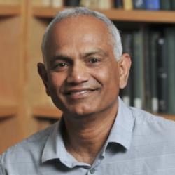 Balasubramanian Narasimhan